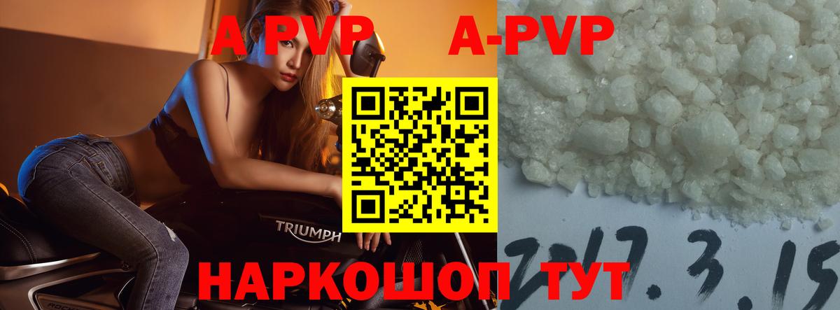 ГАШ Курск