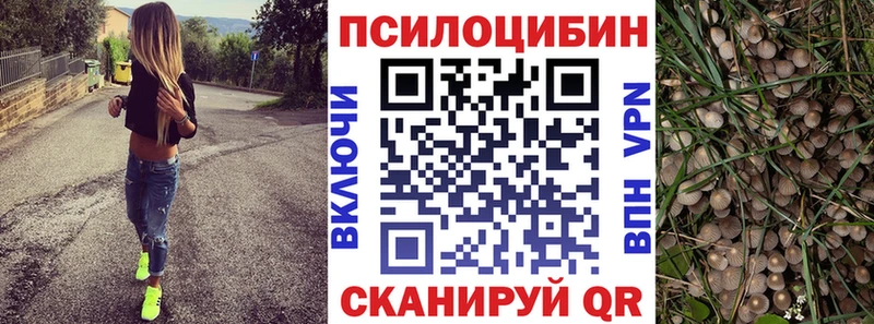 Псилоцибиновые грибы мицелий  Курск 