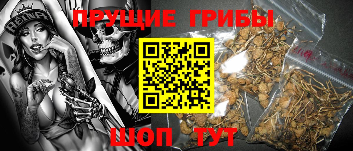 Псилоцибиновые грибы Psilocybine cubensis  Вход с VPN  Курск 
