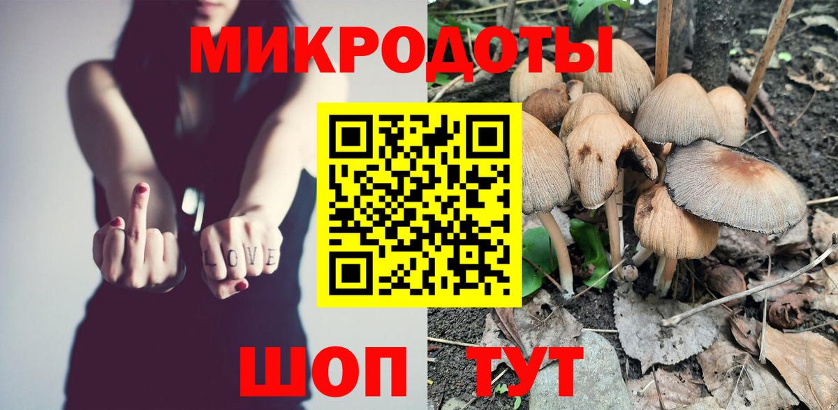 Псилоцибиновые грибы ЛСД  хочу   Псилоцибиновые грибы Cubensis  Курск 