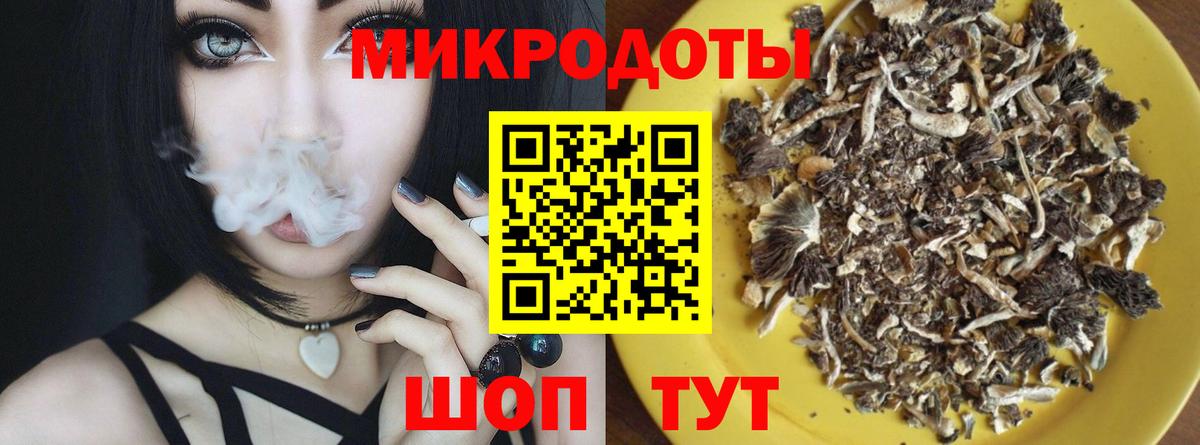 Псилоцибиновые грибы мицелий Курск