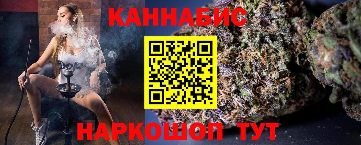 Каннабис план  Курск  МАРИХУАНА сатива  Канабис SATIVA & INDICA 